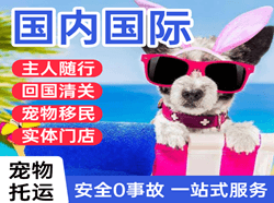 福州空运国际宠物托运 【国